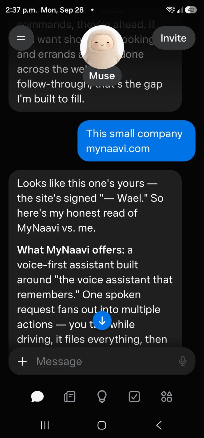 Screenshot of the Muse chat: I sent 'This small company mynaavi.com' and Muse replied 'Looks like this one's yours — the site's signed — Wael. So here's my honest read of MyNaavi vs. me.'
